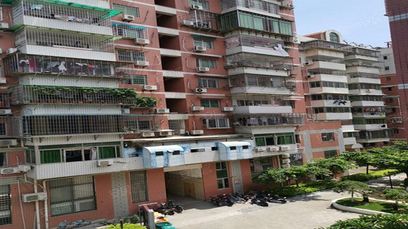 鑫利花园与鑫利建筑 厦门吕岭路248-268号的城市记忆