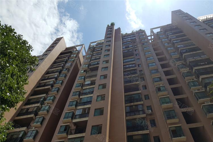鑫利8号实景图与鑫利建筑 品质人居的视觉见证